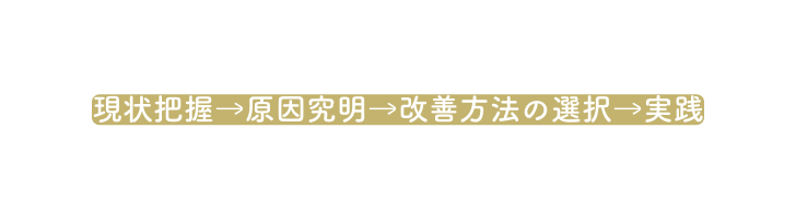 現状把握 原因究明 改善方法の選択 実践